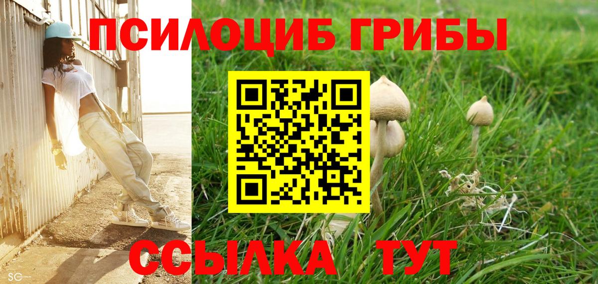 купить   Галлюциногенные грибы мицелий  Вход с VPN  Железноводск  Псилоцибиновые грибы ЛСД 